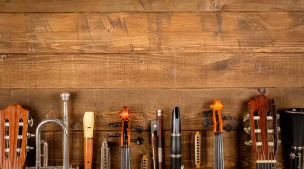 A group of various types of instruments lying in a row over a wooden background. You can only see their top halves. Taking care of your instrument is a great way to make it last longer