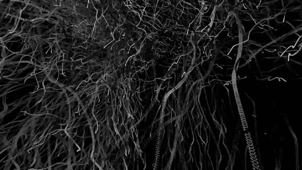Omid Nemalhabib, Alter Poetry, 2025, shows how creative coding is turning code as canvas