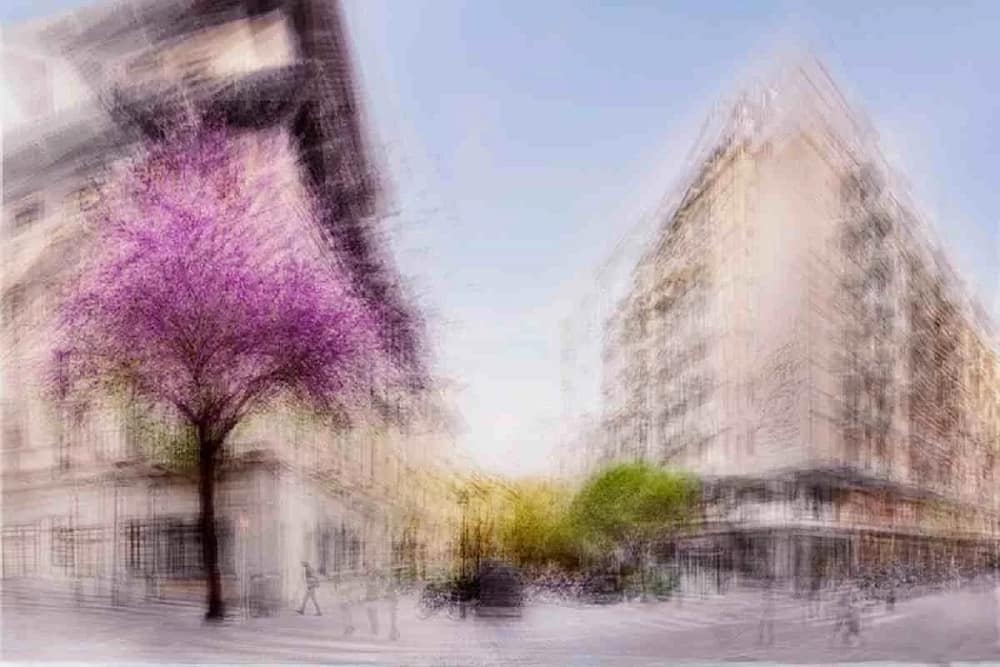 A landscape photograph with huge buildings and few beautiful trees by Jacob Gils help people discover the World of beautiful tress and impact of deforestation