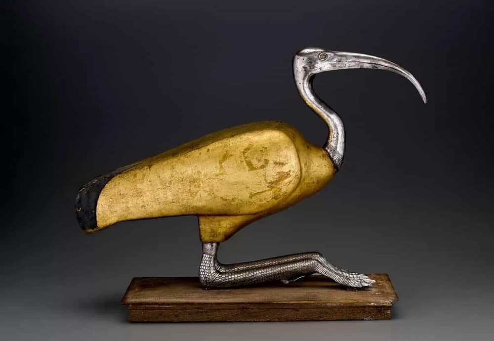 This beautiful Ibis Coffin Thoth from 305–30 B.C.E is one of the animal mummies in ancient Egypt in Soulful Creatures