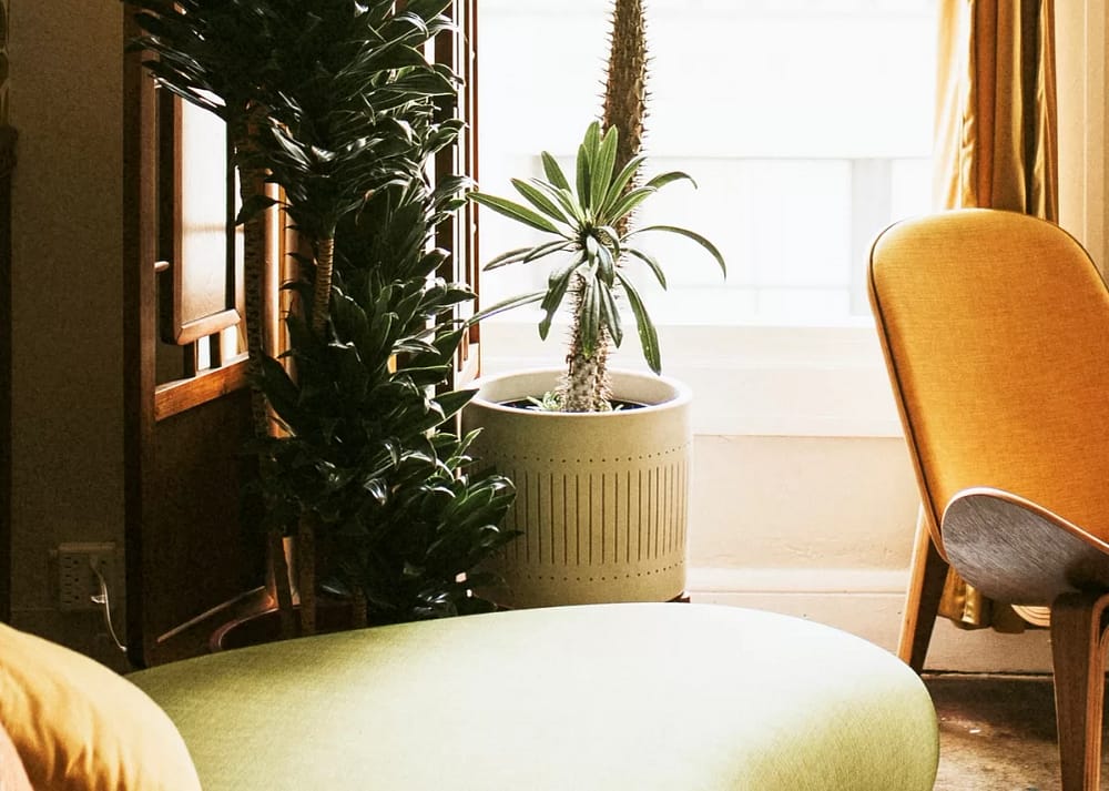 A living room decorated in warm shades of orange, cream, and brown. A low green couch and a yellow chair are present. an important example of Mid-Century Modern Design