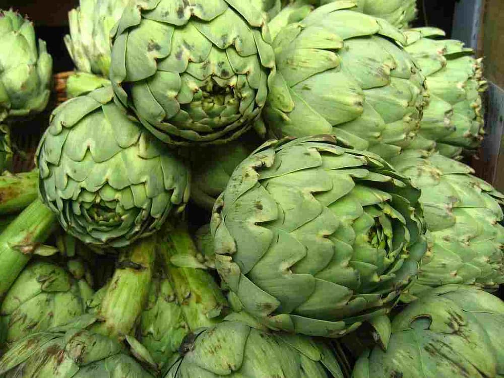 Beautiful Artichokes. Cooking artichokes can be fun