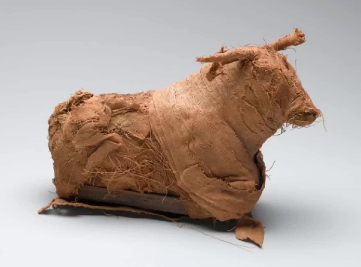 This Model of a bull. from Egypt. Third Intermediate Period or Late Period, Dynasty 21‒30, circa 1075–332 B.C.E. is one of the examples of animal mummification in ancient Egypt in Soulful Creatures: Animal Mummies in Ancient Egypt .