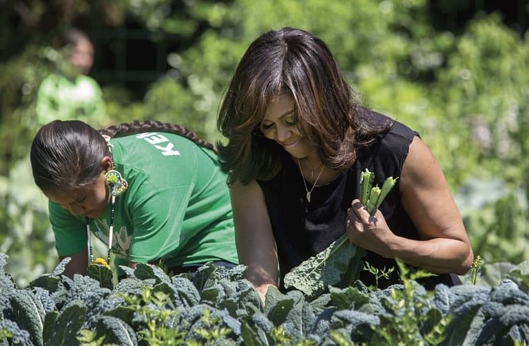 In the White House Kitchen Garden, the First Lady harvests kale with students