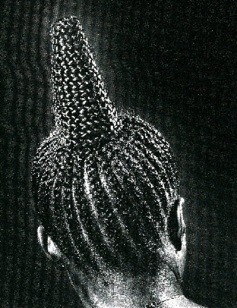 Image: Modern Suku, 1979, captures a beautiful hairstyle of Nigerian women. The Gelatin silver print is by J.D. 'Okhai Ojeikere
