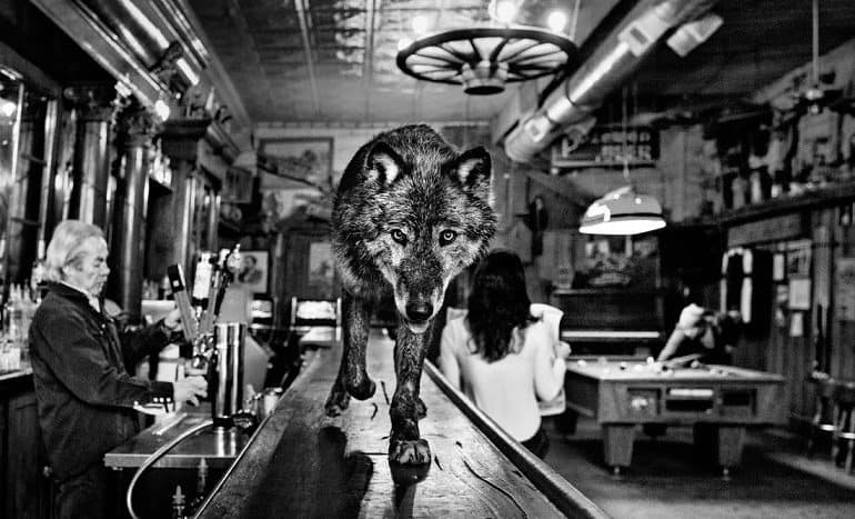 David-Yarrow-Wolf-of-Main-Street. Like It Is Only a Matter of Time, it was the subject conversation in Wild-Encounters