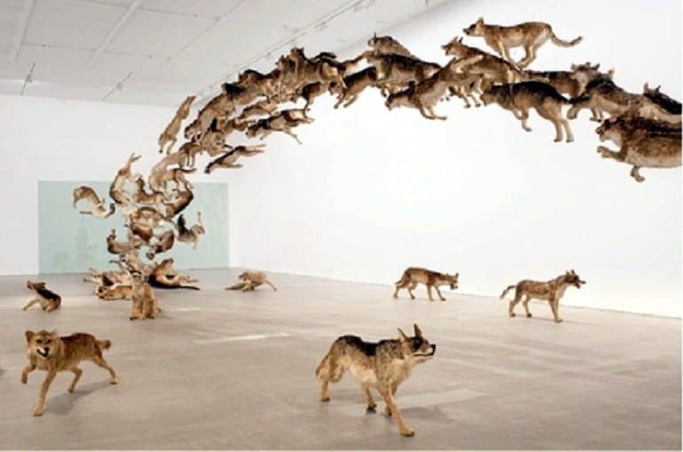 Image: Cai Guo-Qiang wolves installation  titled  Head On was commissioned in 2006 by  The Deutsche Bank Collection-Art 
