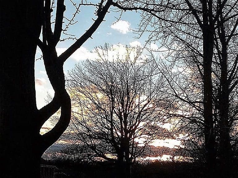 Image: Sunset in Baltimore is a photograph of the sun going down between several tress. Expert Photography