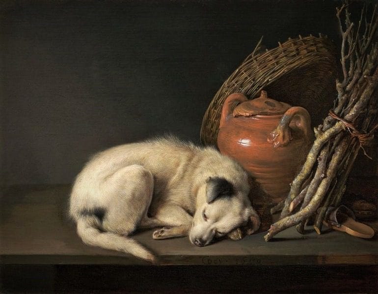Image: Dog at Rest, an oil on canvas painting by Gerrit Dou from the Rose-Marie and Eijk van Otterloo Collection that was recently donated to MFA Boston