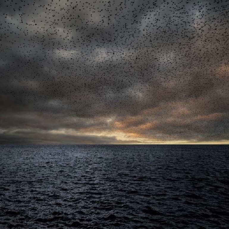 Image: Landscape 09, an eerie landscape photograph with dark clouds and birds in the sky by Dutch landscape photography artist Saskia Boelsums